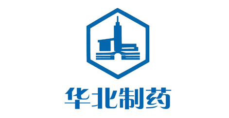 伙伴7